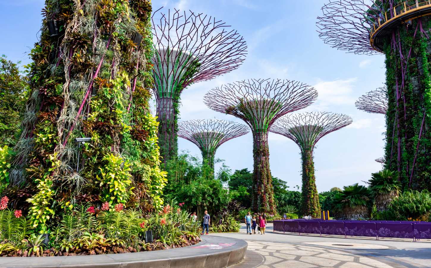 Singapore: Leading AI Innovation
